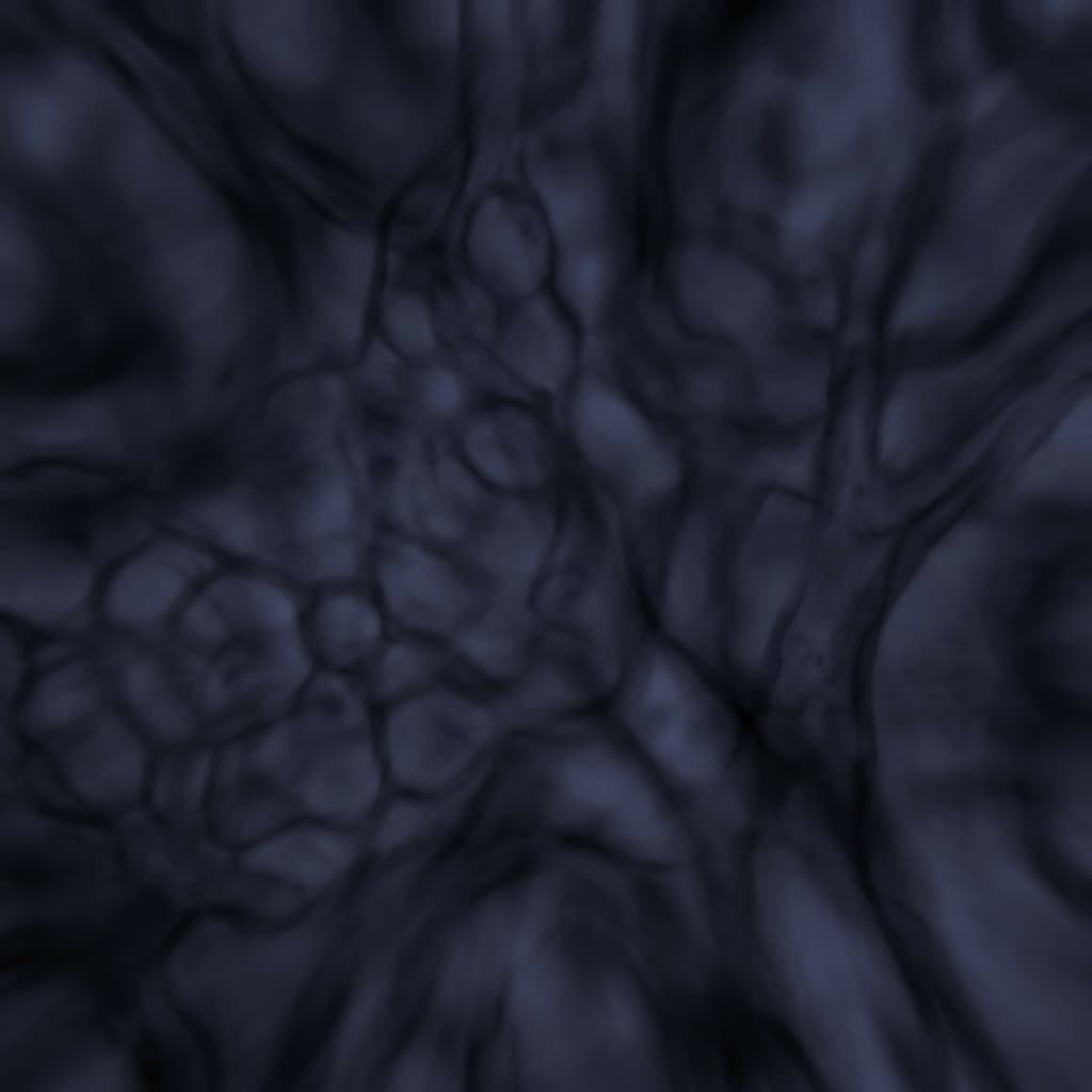 Background Texture